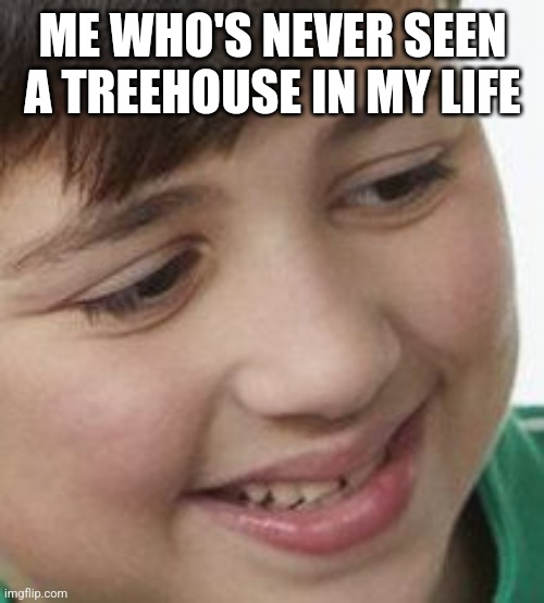 Dying inside | ME WHO'S NEVER SEEN A TREEHOUSE IN MY LIFE | image tagged in dying inside | made w/ Imgflip meme maker