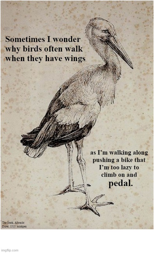 Laziness | image tagged in art memes,renaissance,bicycle,cycling,birds,flying | made w/ Imgflip meme maker