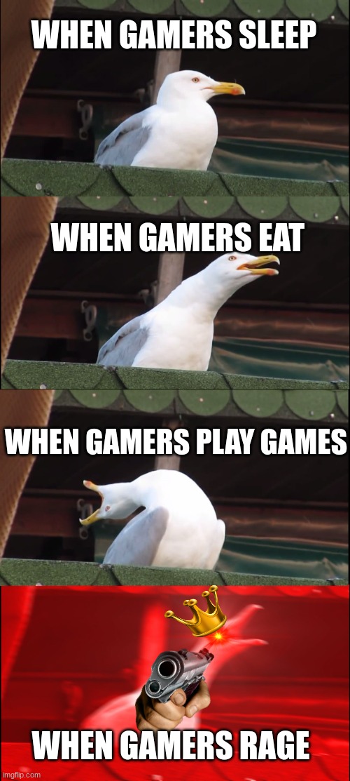 Gamer Life | WHEN GAMERS SLEEP; WHEN GAMERS EAT; WHEN GAMERS PLAY GAMES; WHEN GAMERS RAGE | image tagged in memes,inhaling seagull | made w/ Imgflip meme maker