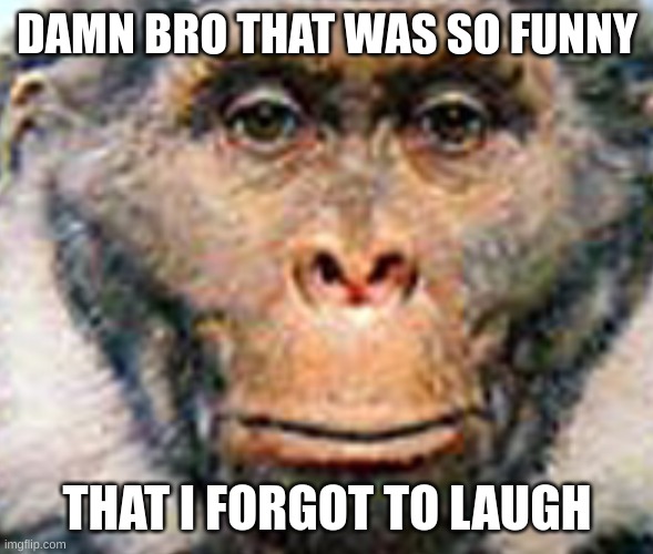 “Danm that was so funny I forgot to laugh” Sivapithicus | DAMN BRO THAT WAS SO FUNNY THAT I FORGOT TO LAUGH | image tagged in danm that was so funny i forgot to laugh sivapithicus | made w/ Imgflip meme maker