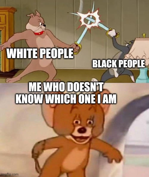 Not meant to be racist | WHITE PEOPLE; BLACK PEOPLE; ME WHO DOESN'T KNOW WHICH ONE I AM | image tagged in tom and jerry swordfight | made w/ Imgflip meme maker
