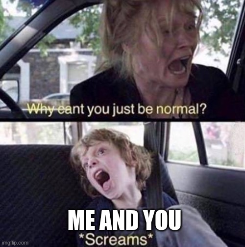 Why Can't You Just Be Normal | ME AND YOU | image tagged in why can't you just be normal | made w/ Imgflip meme maker