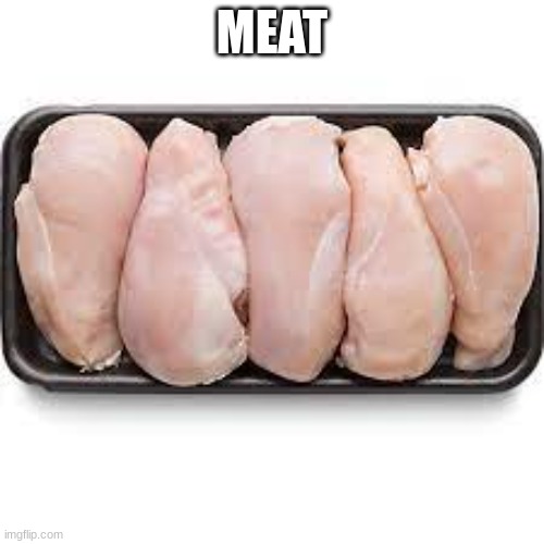 MEAT | image tagged in memes | made w/ Imgflip meme maker