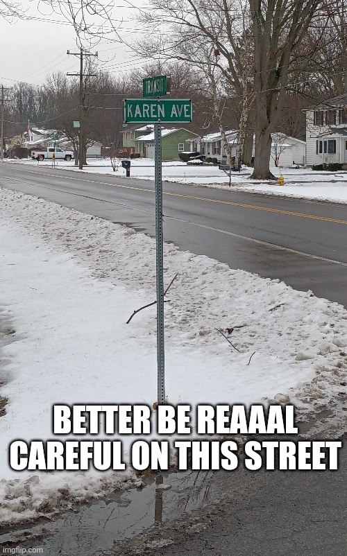 Karen Ave | BETTER BE REAAAL CAREFUL ON THIS STREET | image tagged in karen,karens,omg karen,funny,fun,funny meme | made w/ Imgflip meme maker