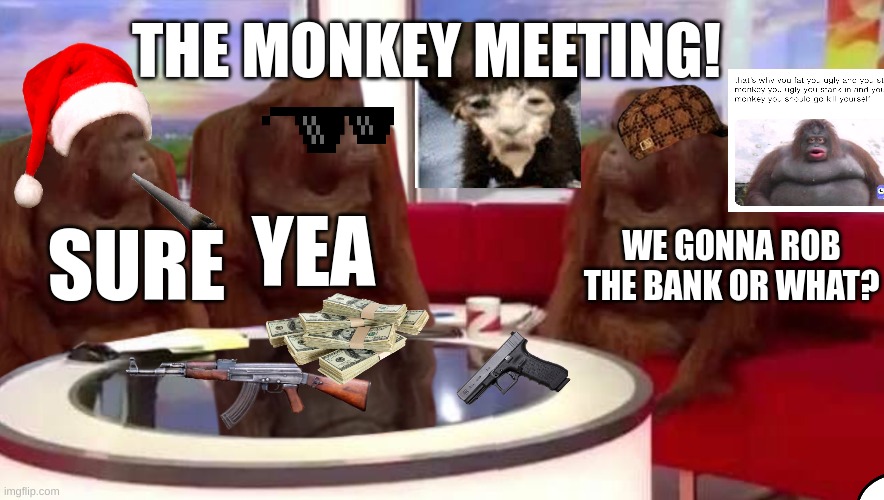 where monkey | THE MONKEY MEETING! WE GONNA ROB THE BANK OR WHAT? YEA; SURE | image tagged in where monkey | made w/ Imgflip meme maker