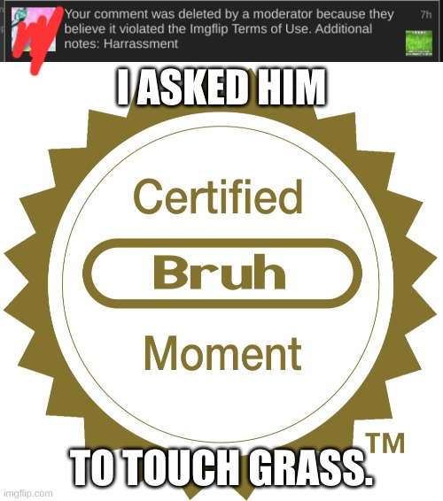 Horny stream stupid af (Hanz: NAUR REALLY?!) | I ASKED HIM; TO TOUCH GRASS. | image tagged in certified bruh moment | made w/ Imgflip meme maker