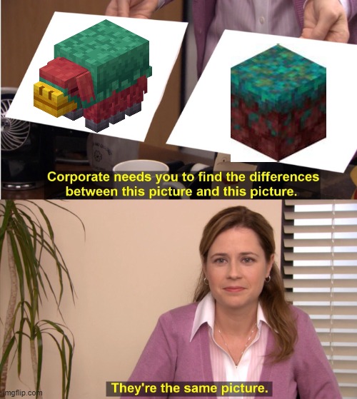 The same | image tagged in memes,they're the same picture | made w/ Imgflip meme maker
