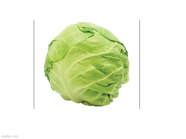 HeRe Is An ImAgE Of A VeGtAbLe. NoW gIvE Me UpVoTeS | image tagged in upvotes | made w/ Imgflip meme maker