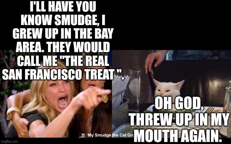I'LL HAVE YOU KNOW SMUDGE, I GREW UP IN THE BAY AREA. THEY WOULD CALL ME "THE REAL SAN FRANCISCO TREAT ". OH GOD, THREW UP IN MY MOUTH AGAIN. | image tagged in smudge the cat,funny memes | made w/ Imgflip meme maker