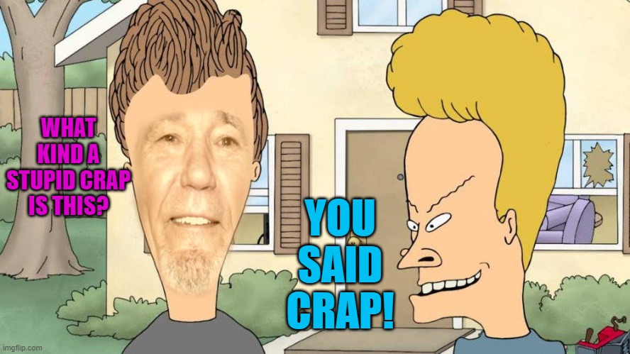 WHAT KIND A STUPID CRAP IS THIS? YOU SAID CRAP! | image tagged in lewvis and butthead | made w/ Imgflip meme maker