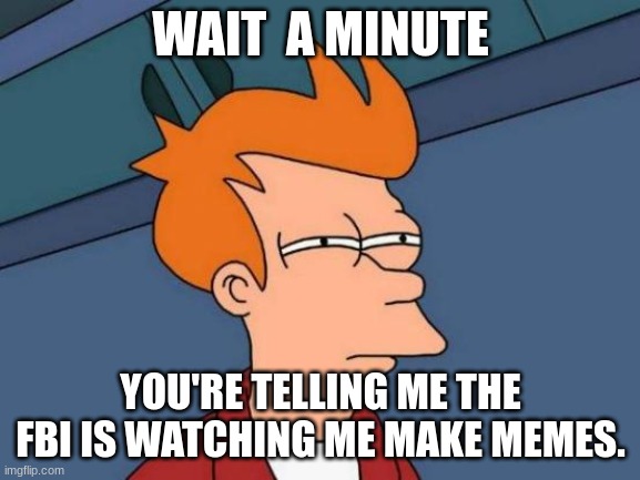 futurama meme | WAIT  A MINUTE; YOU'RE TELLING ME THE FBI IS WATCHING ME MAKE MEMES. | image tagged in memes,futurama fry | made w/ Imgflip meme maker