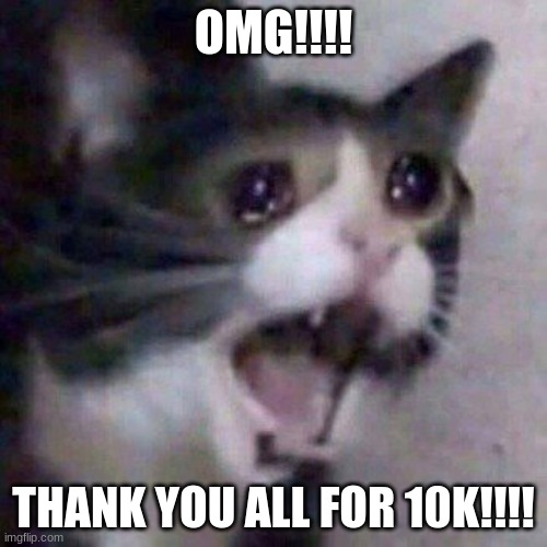 Screaming Cat meme | OMG!!!! THANK YOU ALL FOR 10K!!!! | image tagged in screaming cat meme | made w/ Imgflip meme maker