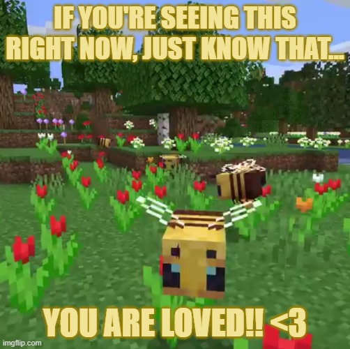 Have a wonderful Morning/Afternoon/Evening/Night!! <3 | IF YOU'RE SEEING THIS RIGHT NOW, JUST KNOW THAT... YOU ARE LOVED!! <3 | image tagged in minecraft bees | made w/ Imgflip meme maker