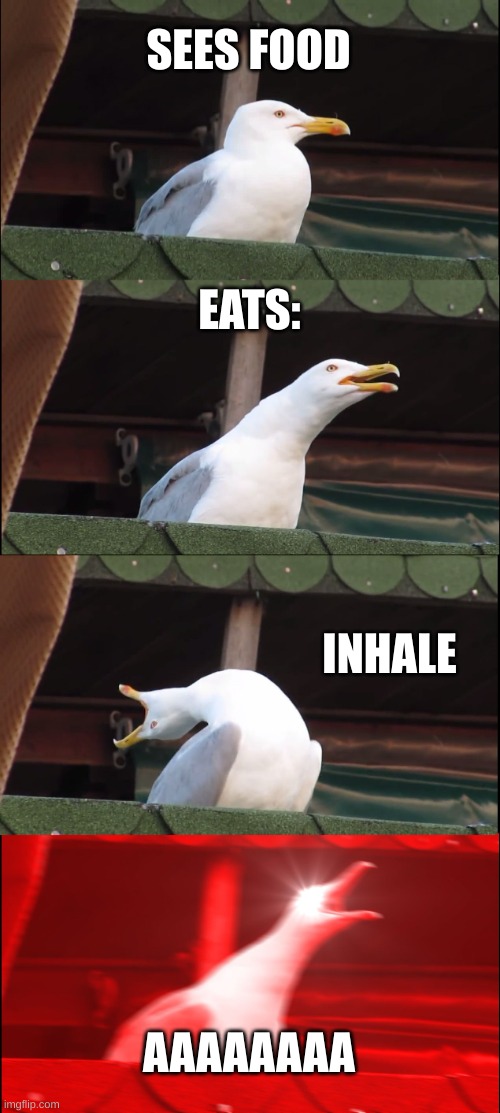 Inhaling Seagull | SEES FOOD; EATS:; INHALE; AAAAAAAA | image tagged in memes,inhaling seagull | made w/ Imgflip meme maker