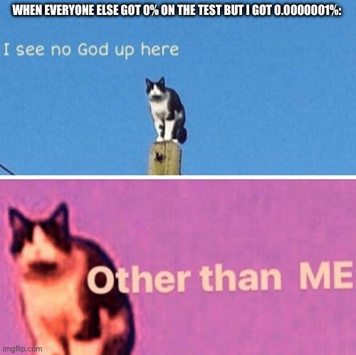 Hail pole cat | WHEN EVERYONE ELSE GOT 0% ON THE TEST BUT I GOT 0.0000001%: | image tagged in hail pole cat | made w/ Imgflip meme maker