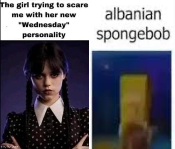 ㅤ | image tagged in the girl trying to scare me with her new wednesday personality | made w/ Imgflip meme maker