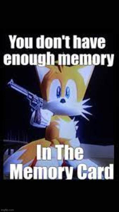 You don't have enough memory in the memory card. | image tagged in sonic the hedgehog | made w/ Imgflip meme maker