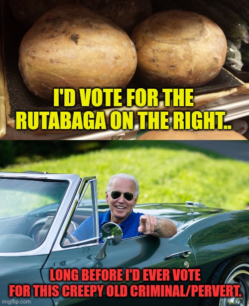 I'D VOTE FOR THE RUTABAGA ON THE RIGHT.. LONG BEFORE I'D EVER VOTE FOR THIS CREEPY OLD CRIMINAL/PERVERT. | image tagged in rutabaga,biden in corvette | made w/ Imgflip meme maker