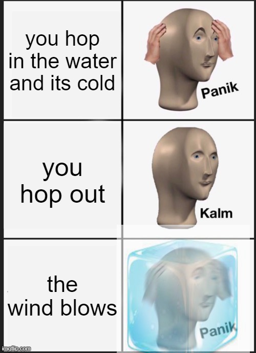 its freezing | you hop in the water and its cold; you hop out; the wind blows | image tagged in memes,panik kalm panik | made w/ Imgflip meme maker