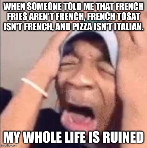 NOOOOOOOOOOOOOOOOOOOOOOOOOOOOOOOOOOOOOOOOOOOOOOOOOOOOOOOOOOOOOOO | WHEN SOMEONE TOLD ME THAT FRENCH FRIES AREN'T FRENCH, FRENCH TOSAT ISN'T FRENCH, AND PIZZA ISN'T ITALIAN. MY WHOLE LIFE IS RUINED | image tagged in nooooooooooooooooooooooooooooooooooooooooooooooooooooooooooooooo | made w/ Imgflip meme maker