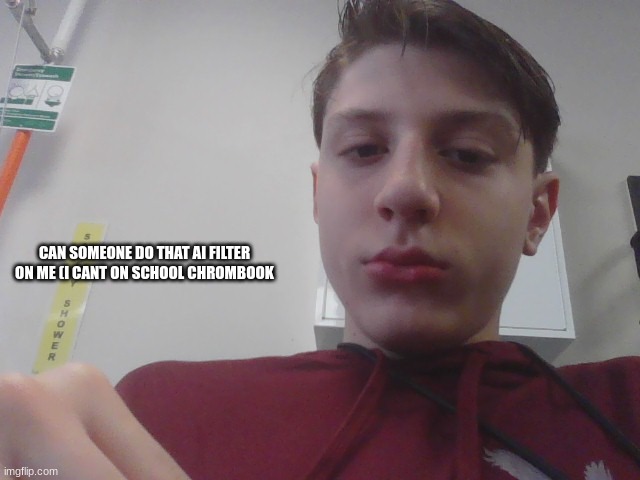 CAN SOMEONE DO THAT AI FILTER ON ME (I CANT ON SCHOOL CHROMBOOK | made w/ Imgflip meme maker