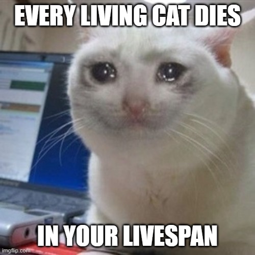 Crying cat | EVERY LIVING CAT DIES; IN YOUR LIVESPAN | image tagged in crying cat | made w/ Imgflip meme maker