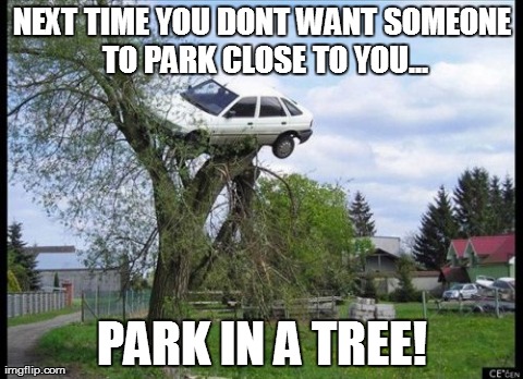 best place to park | NEXT TIME YOU DONT WANT SOMEONE TO PARK CLOSE TO YOU... PARK IN A TREE! | image tagged in memes,secure parking,tree,car,parking | made w/ Imgflip meme maker