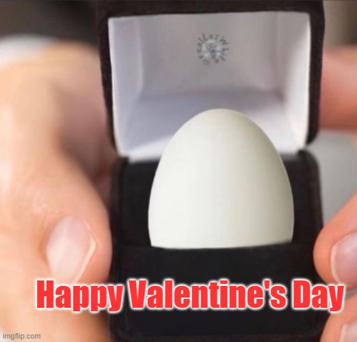 Happy Valentine's Day |  Happy Valentine's Day | image tagged in valentine's day,valentine,love,eggs,gift | made w/ Imgflip meme maker