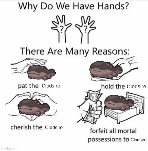 Why Do We Have Hand? Good Question | Clodsire; Clodsire; Clodsire; Clodsire | image tagged in why do we have hands all blank | made w/ Imgflip meme maker