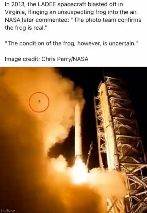 F in the chat for the frog | made w/ Imgflip meme maker