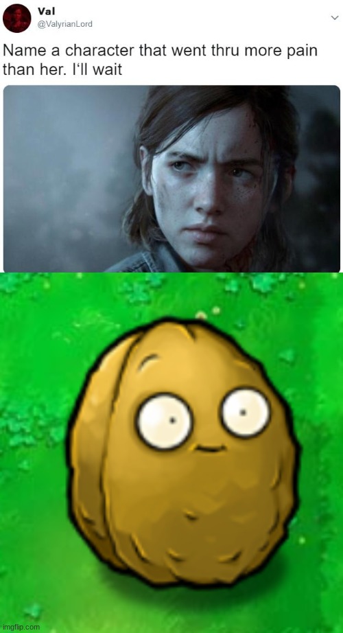 Don't deny the truth. | image tagged in name a character who went through more pain than her ill wait,wall-nut,pvz,plants vs zombies | made w/ Imgflip meme maker