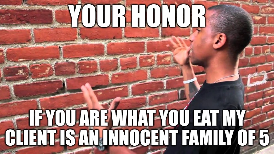 YOUR HONOR; IF YOU ARE WHAT YOU EAT MY CLIENT IS AN INNOCENT FAMILY OF 5 | made w/ Imgflip meme maker