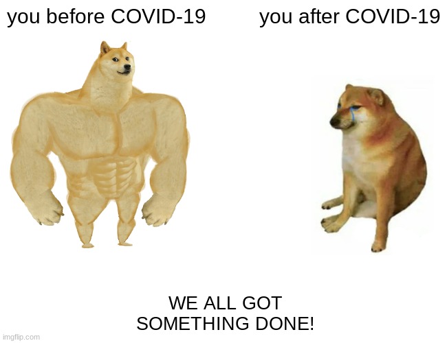 bruh | you before COVID-19; you after COVID-19; WE ALL GOT SOMETHING DONE! | image tagged in memes,buff doge vs cheems | made w/ Imgflip meme maker