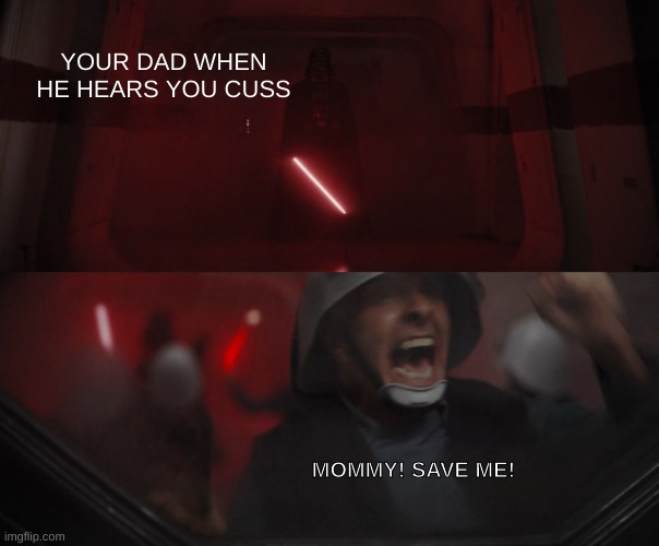 Darth Vader vs Rebel | YOUR DAD WHEN HE HEARS YOU CUSS; MOMMY! SAVE ME! | image tagged in darth vader vs rebel | made w/ Imgflip meme maker