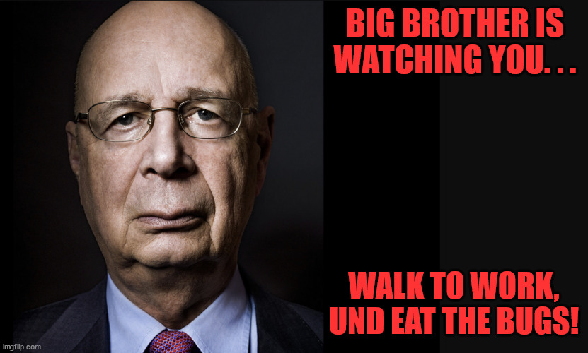 Klaus Schwab | BIG BROTHER IS WATCHING YOU. . . WALK TO WORK, UND EAT THE BUGS! | image tagged in klaus schwab | made w/ Imgflip meme maker