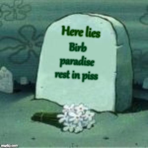 RIP doxing discord partner DCMAed to death | Here lies; Birb paradise
rest in piss | image tagged in here lies x | made w/ Imgflip meme maker