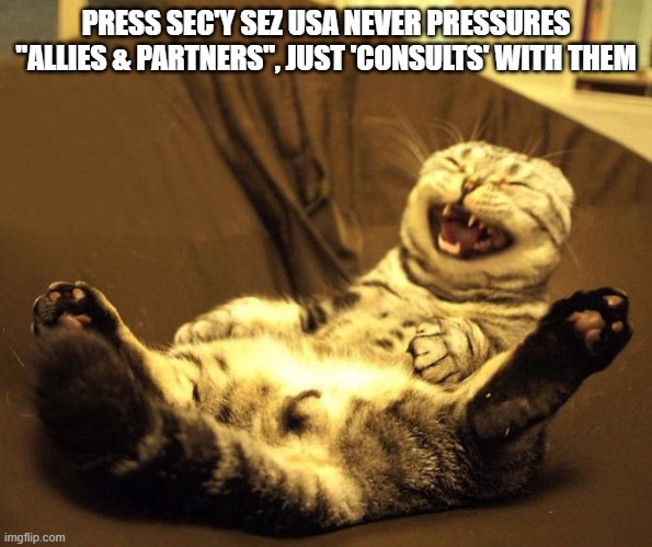 yeah right | PRESS SEC'Y SEZ USA NEVER PRESSURES "ALLIES & PARTNERS", JUST 'CONSULTS' WITH THEM | image tagged in laughing cat | made w/ Imgflip meme maker