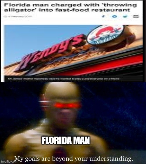 WHAT THE | FLORIDA MAN | image tagged in funny | made w/ Imgflip meme maker