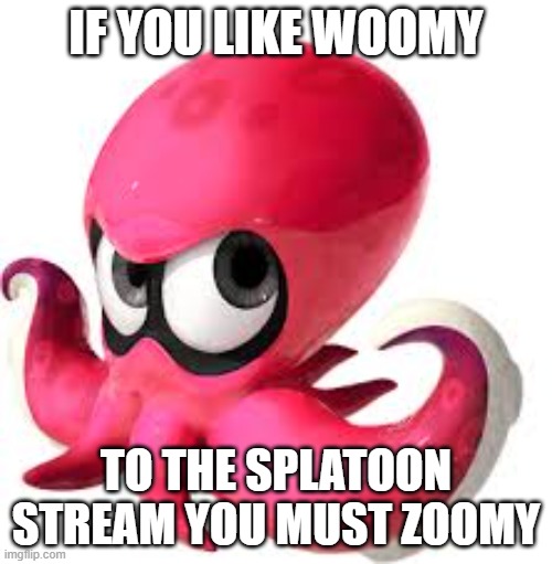 Woomy stream | IF YOU LIKE WOOMY; TO THE SPLATOON STREAM YOU MUST ZOOMY | image tagged in splatoon | made w/ Imgflip meme maker