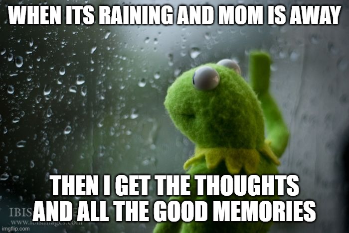 kermit window | WHEN ITS RAINING AND MOM IS AWAY; THEN I GET THE THOUGHTS AND ALL THE GOOD MEMORIES | image tagged in kermit window | made w/ Imgflip meme maker