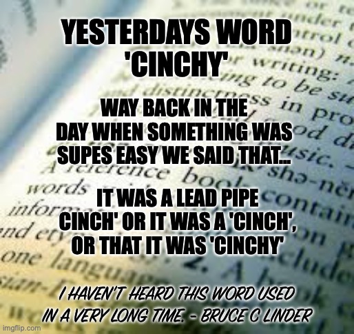 A Lead Pipe Cinch | YESTERDAYS WORD
'CINCHY'; WAY BACK IN THE DAY WHEN SOMETHING WAS SUPES EASY WE SAID THAT... IT WAS A LEAD PIPE CINCH' OR IT WAS A 'CINCH', OR THAT IT WAS 'CINCHY'; I HAVEN'T HEARD THIS WORD USED IN A VERY LONG TIME. - BRUCE C LINDER | image tagged in dictionary,cinchy,cinch,vernacular,word play | made w/ Imgflip meme maker
