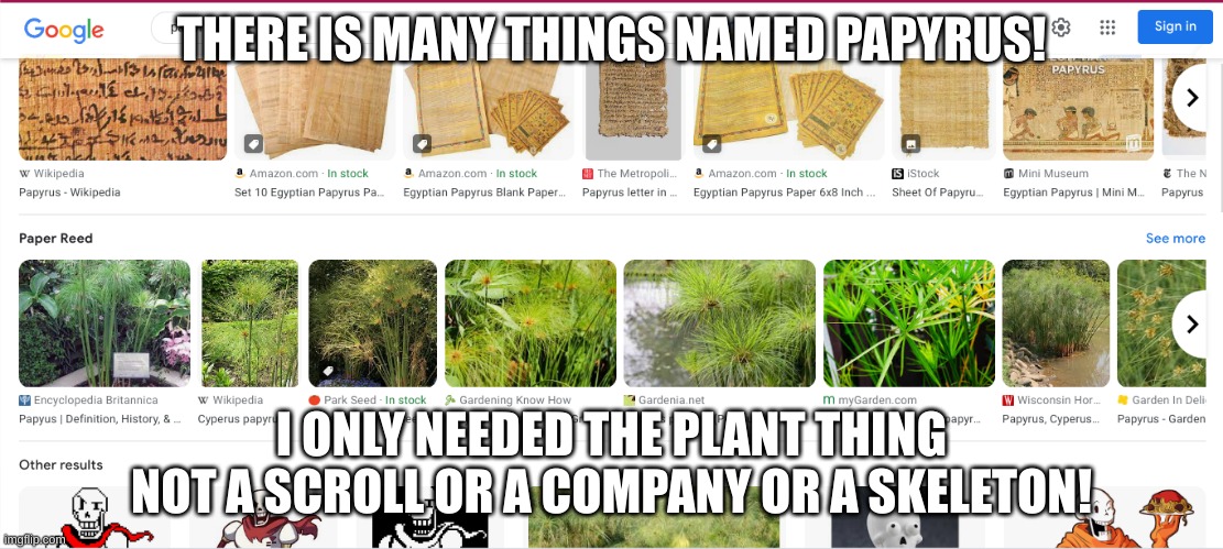 THERE IS MANY THINGS NAMED PAPYRUS! I ONLY NEEDED THE PLANT THING NOT A SCROLL OR A COMPANY OR A SKELETON! | image tagged in papyrus,named,thing many,is,there | made w/ Imgflip meme maker