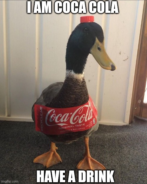 COKE DUCK | I AM COCA COLA; HAVE A DRINK | image tagged in duck,ducks | made w/ Imgflip meme maker