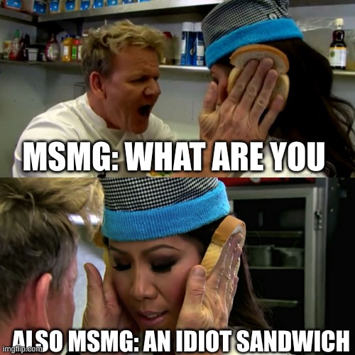msmg lore (yes I know i'm making a lot of sandwich memes) | MSMG: WHAT ARE YOU; ALSO MSMG: AN IDIOT SANDWICH | image tagged in gordon ramsay idiot sandwich | made w/ Imgflip meme maker