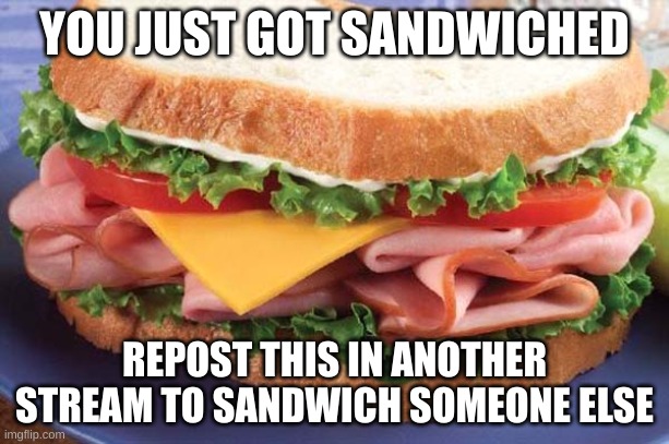 c'mon guys, we got a mission | YOU JUST GOT SANDWICHED; REPOST THIS IN ANOTHER STREAM TO SANDWICH SOMEONE ELSE | image tagged in sandwich | made w/ Imgflip meme maker