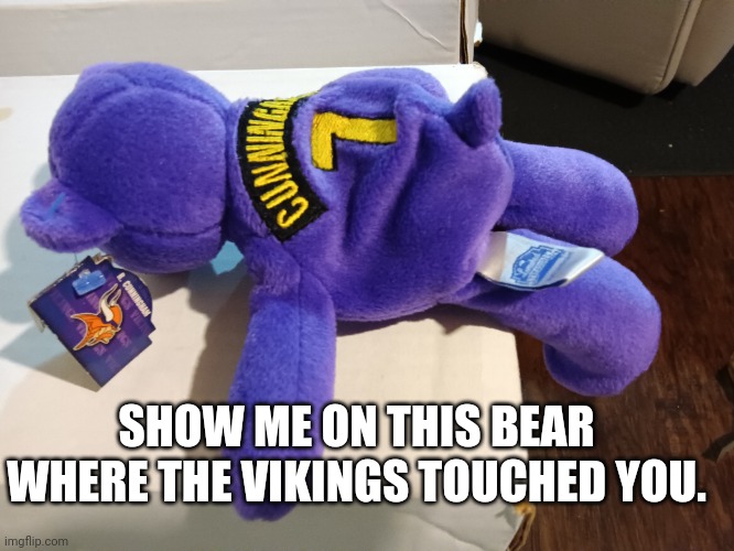 Another long off-season | SHOW ME ON THIS BEAR WHERE THE VIKINGS TOUCHED YOU. | image tagged in vikings,minnesota vikings,show me on this doll,nfl,nfl playoffs | made w/ Imgflip meme maker