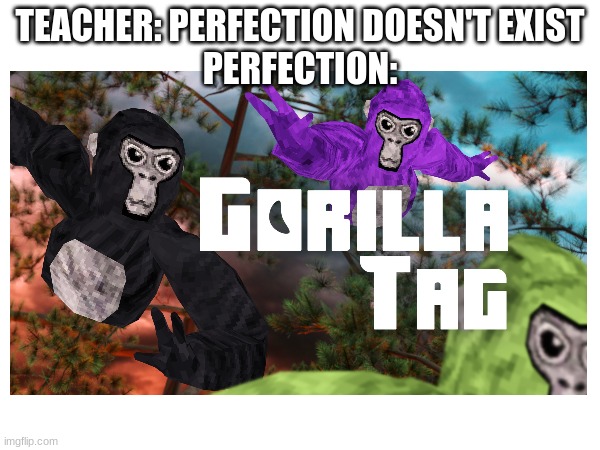 this game is amazing, it's on vr and it's so fun |  TEACHER: PERFECTION DOESN'T EXIST
PERFECTION: | image tagged in gorilla tag,vr,perfection | made w/ Imgflip meme maker