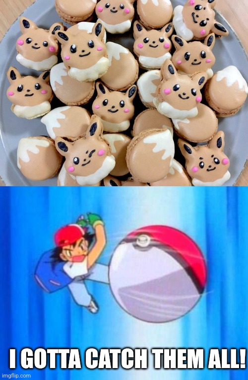 AND EAT THEM | I GOTTA CATCH THEM ALL! | image tagged in i choose you,pokemon,pokemon memes,eevee | made w/ Imgflip meme maker