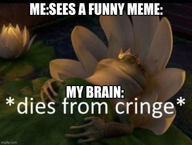 Dies from cringe | ME:SEES A FUNNY MEME:; MY BRAIN: | image tagged in dies from cringe | made w/ Imgflip meme maker