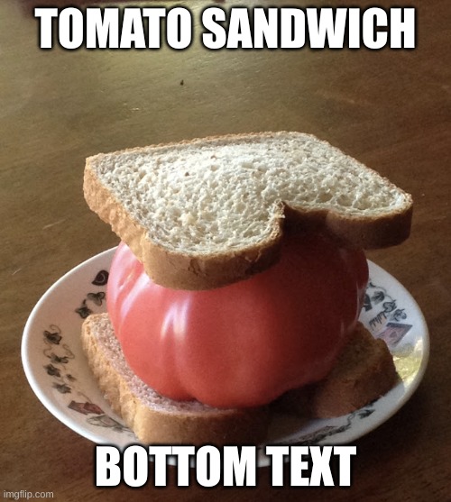 Don't complain, pochita keeps spamming anime stuff | TOMATO SANDWICH; BOTTOM TEXT | image tagged in tomato sandwich | made w/ Imgflip meme maker